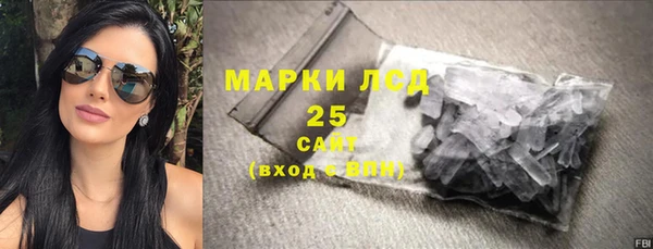 хмурый Гусев