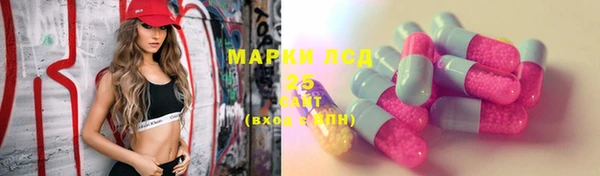 хмурый Гусев