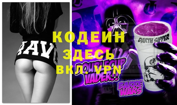 хмурый Гусев