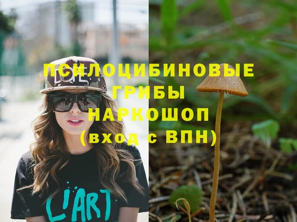 эйфоретик Гусиноозёрск