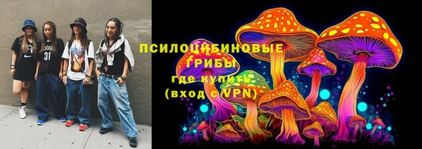 молекула духа Гусь-Хрустальный