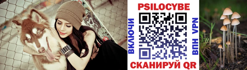 Псилоцибиновые грибы прущие грибы  Купить где  Фрязино 
